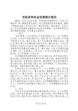 市经济和社会发展统计报告