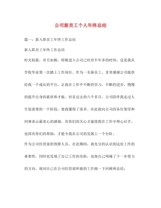 公司新员工个人年终总结 