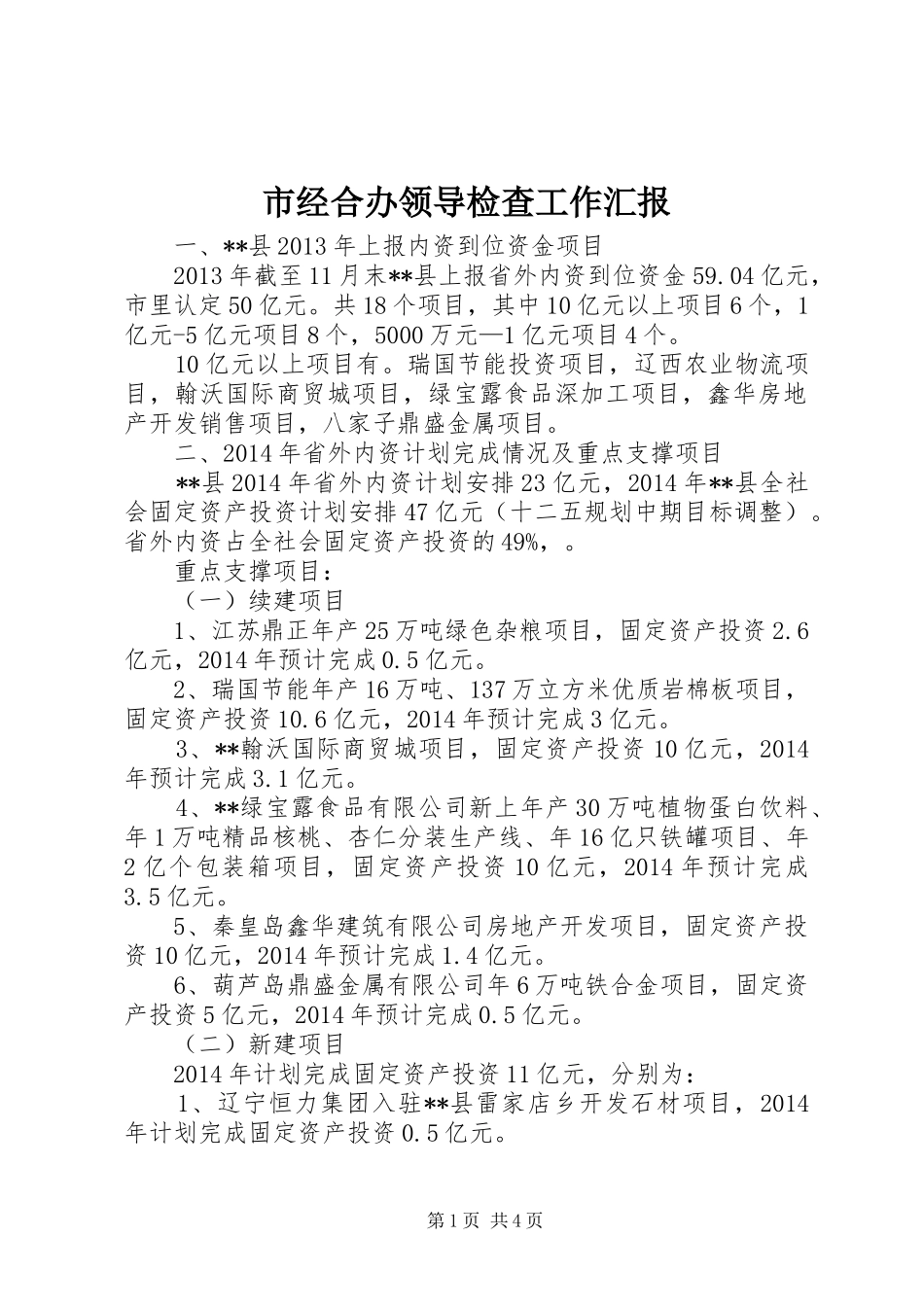 市经合办领导检查工作汇报_第1页