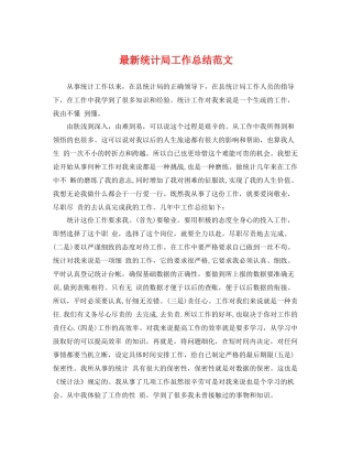 最新统计局工作总结范文 