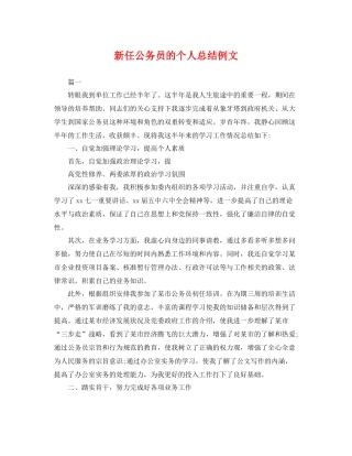 新任公务员的个人总结例文 