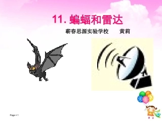 蝙蝠和雷达课件