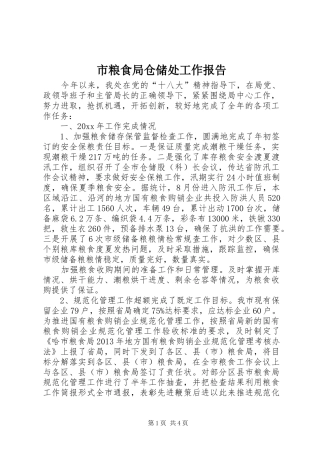 市粮食局仓储处工作报告