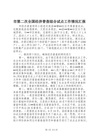 市第二次全国经济普查综合试点工作情况汇报