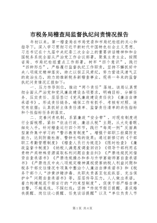 市税务局稽查局监督执纪问责情况报告