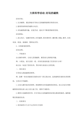 大班科学活动_好玩的磁铁