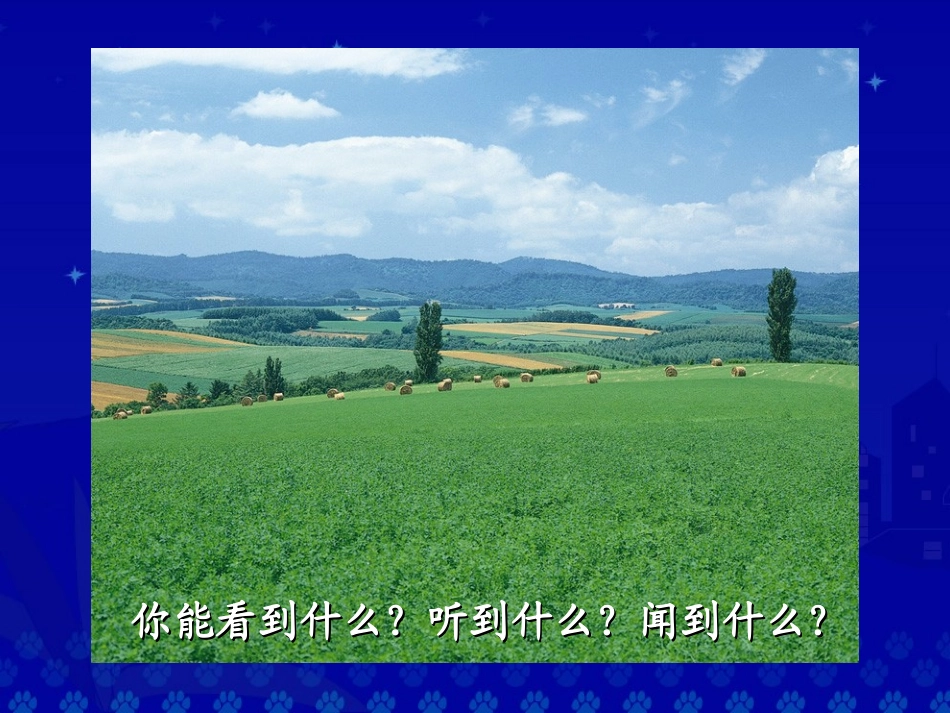 《一粒种子》课件_第3页