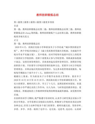 教师挂职锻炼总结 