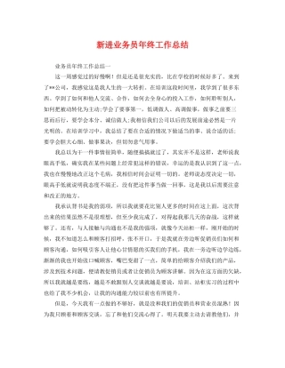 新进业务员年终工作总结 
