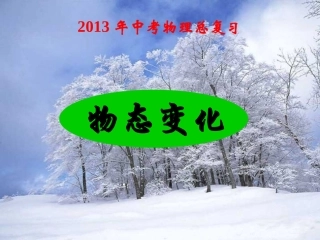 2013中考物理总复习课件《物态变化(含动画)》
