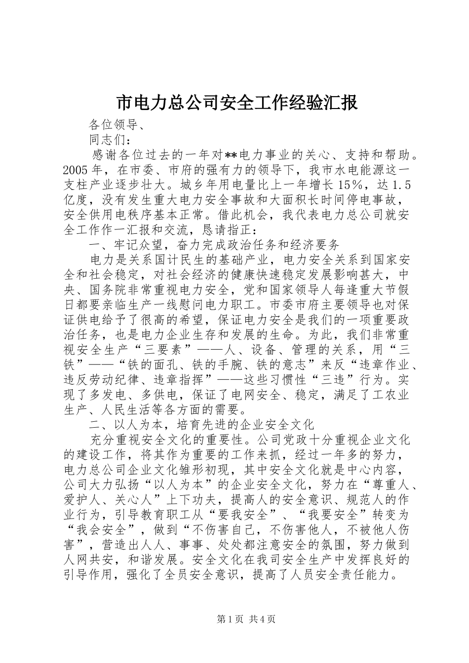 市电力总公司安全工作经验汇报_第1页