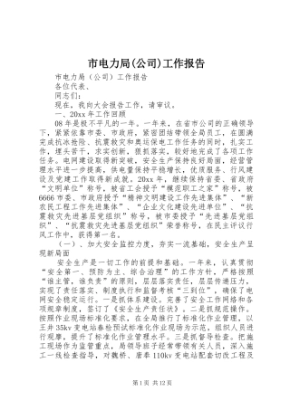 市电力局(公司)工作报告