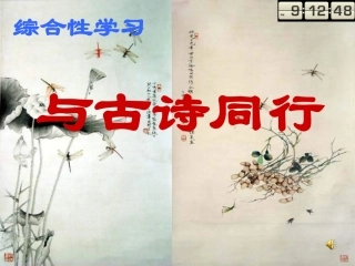 《与古诗同行》复习课件