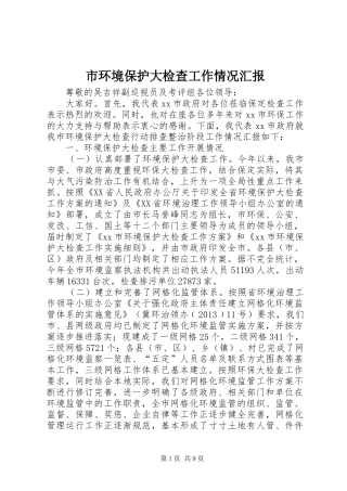 市环境保护大检查工作情况汇报