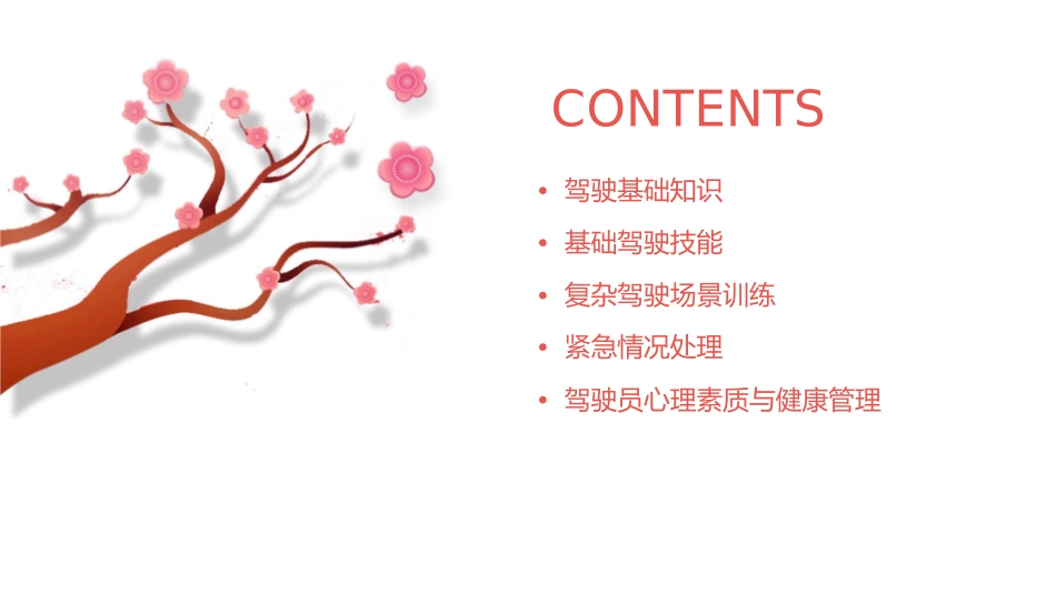 第三汽车驾驶基础训练课件_第2页