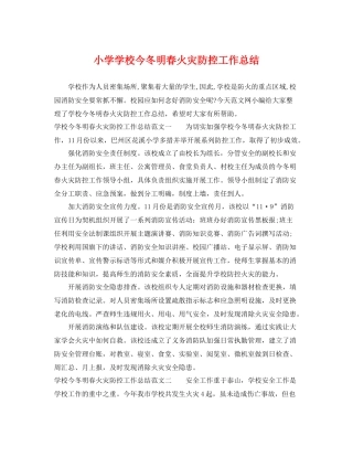 小学学校今冬明春火灾防控工作总结 
