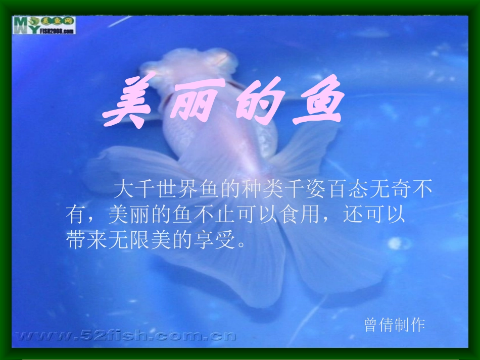 小学三年级美术课件《美丽的鱼》_第1页