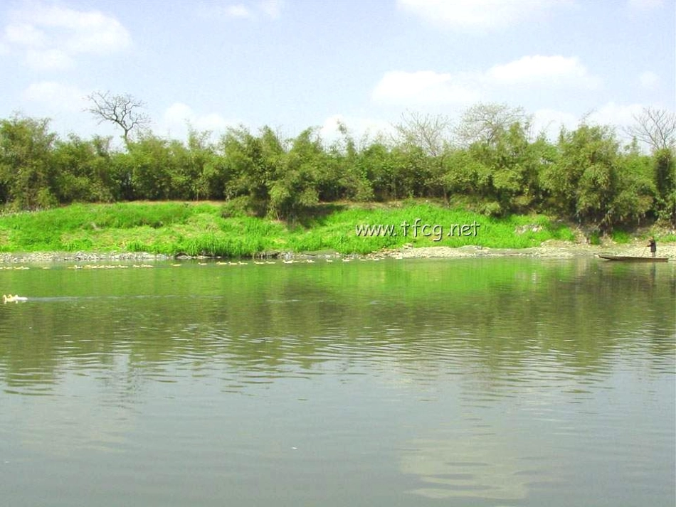 小学五年级语文课件《燕子》_第1页