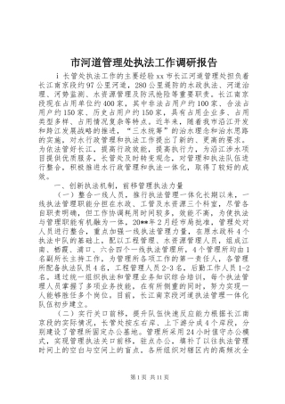 市河道管理处执法工作调研报告