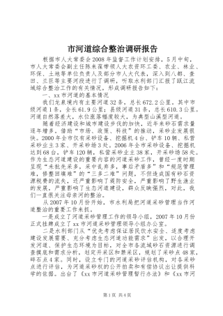 市河道综合整治调研报告