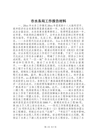 市水务局工作报告材料