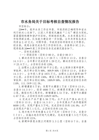 市水务局关于目标考核自查情况报告