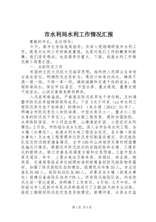 市水利局水利工作情况汇报