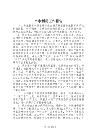 市水利局工作报告