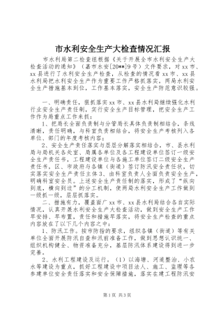 市水利安全生产大检查情况汇报