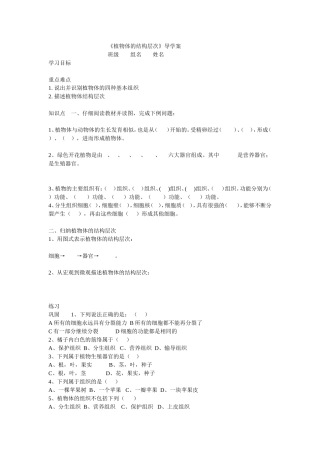 植物体的结构层次