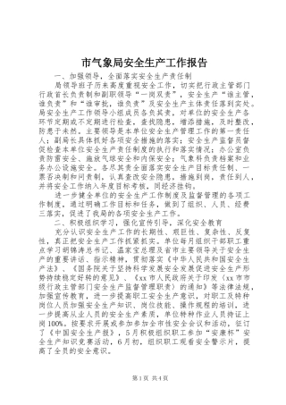 市气象局安全生产工作报告
