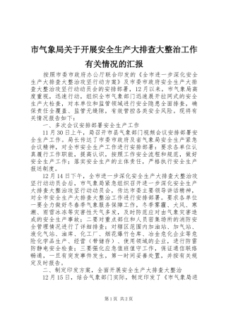 市气象局关于开展安全生产大排查大整治工作有关情况的汇报