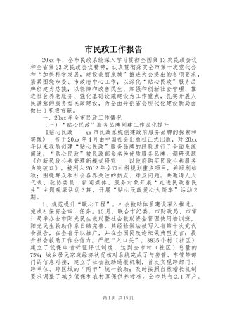 市民政工作报告