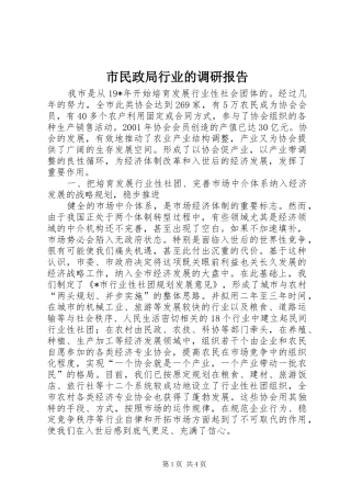 市民政局行业的调研报告