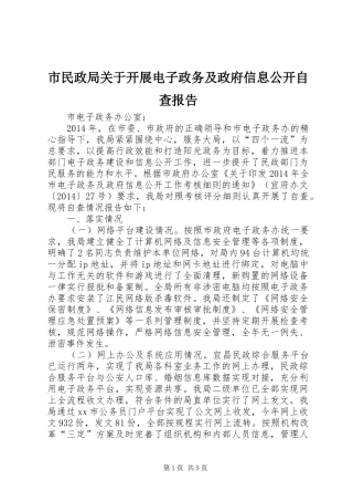 市民政局关于开展电子政务及政府信息公开自查报告