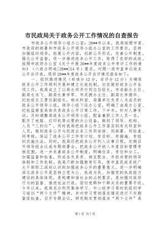 市民政局关于政务公开工作情况的自查报告