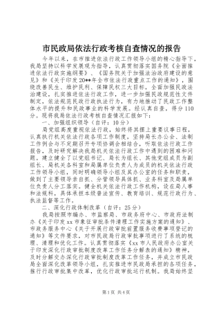 市民政局依法行政考核自查情况的报告