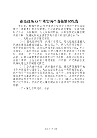 市民政局XX年落实两个责任情况报告