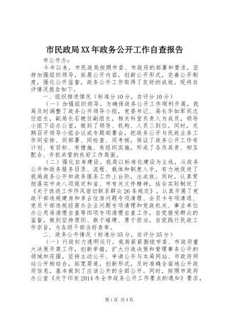 市民政局XX年政务公开工作自查报告