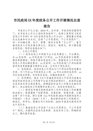市民政局XX年度政务公开工作开展情况自查报告
