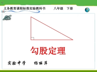 人教版八年级下册《勾股定理1》