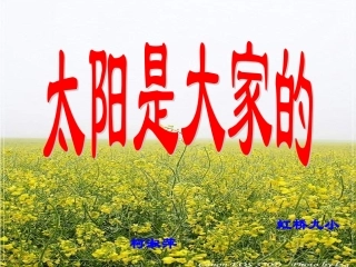 太阳是大家的