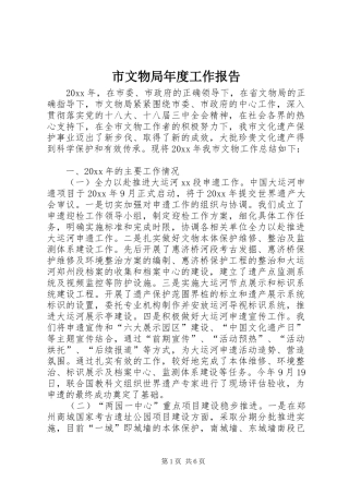 市文物局年度工作报告