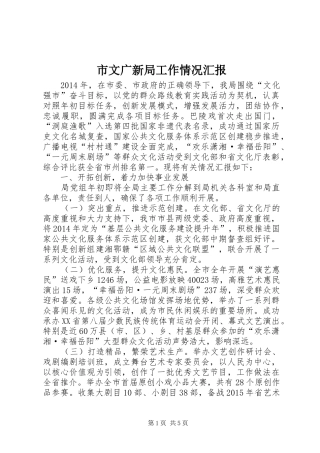 市文广新局工作情况汇报