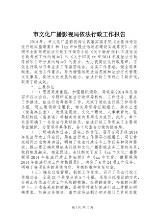 市文化广播影视局依法行政工作报告