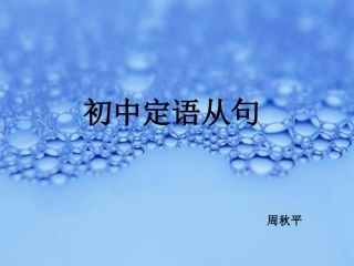 初中定语从句