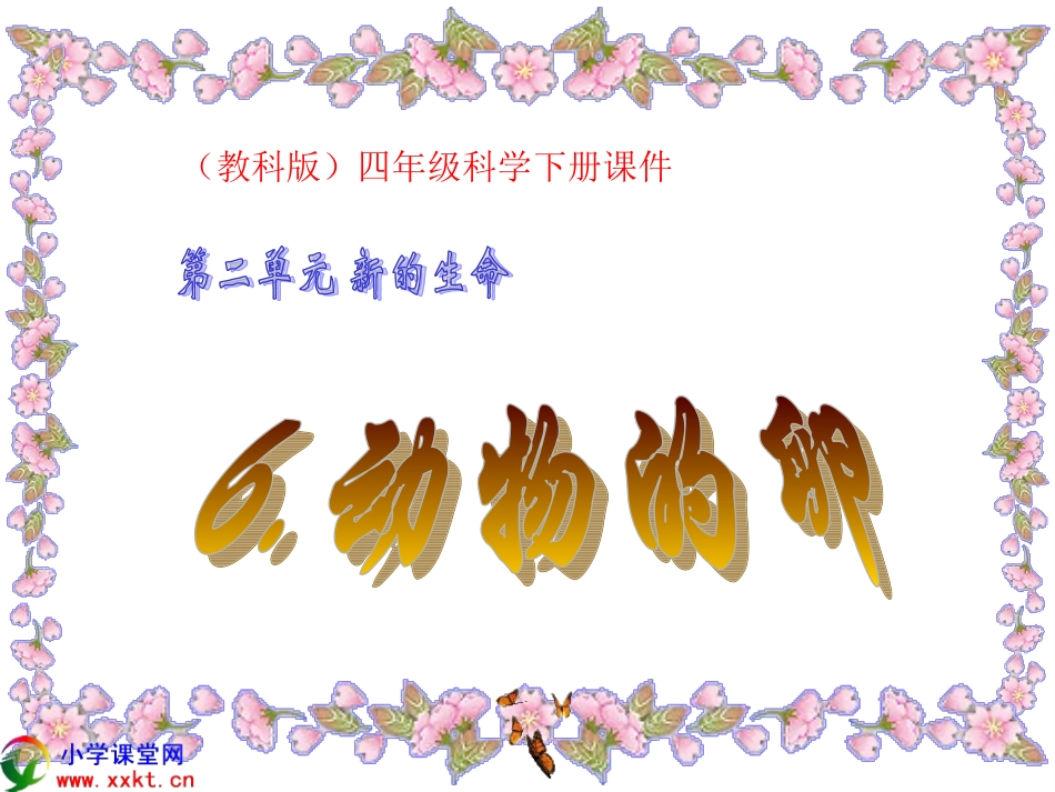 四年级下册科学《动物的卵》_第1页