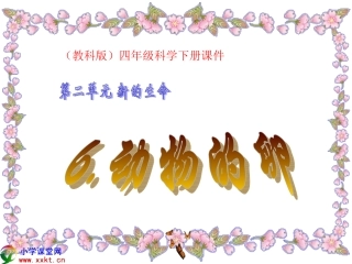 四年级下册科学《动物的卵》