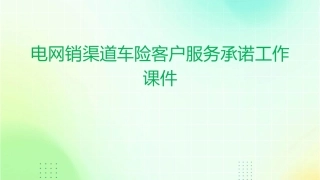 电网销渠道车险客户提供七项服务承诺的工作课件