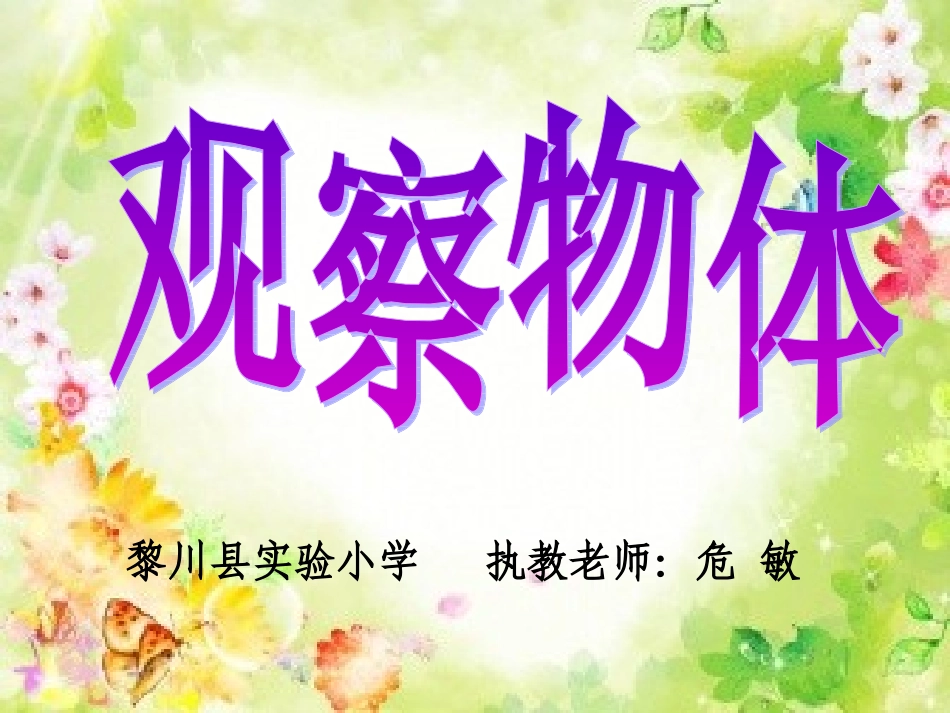 观察物体课件危_第1页